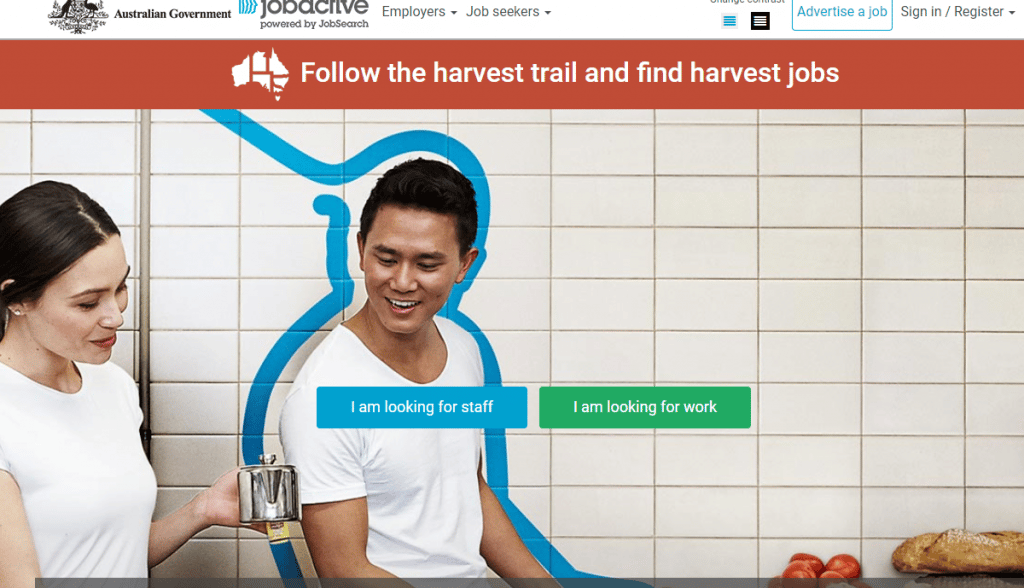 호주 일자리 사이트 Australia JobSearch