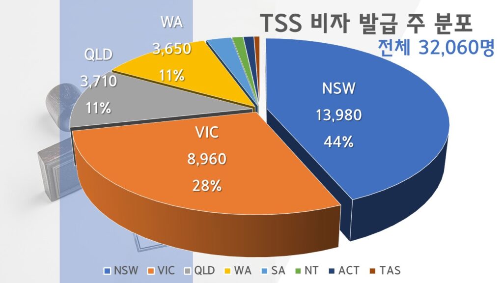 TSS 비자 발급 주 분포